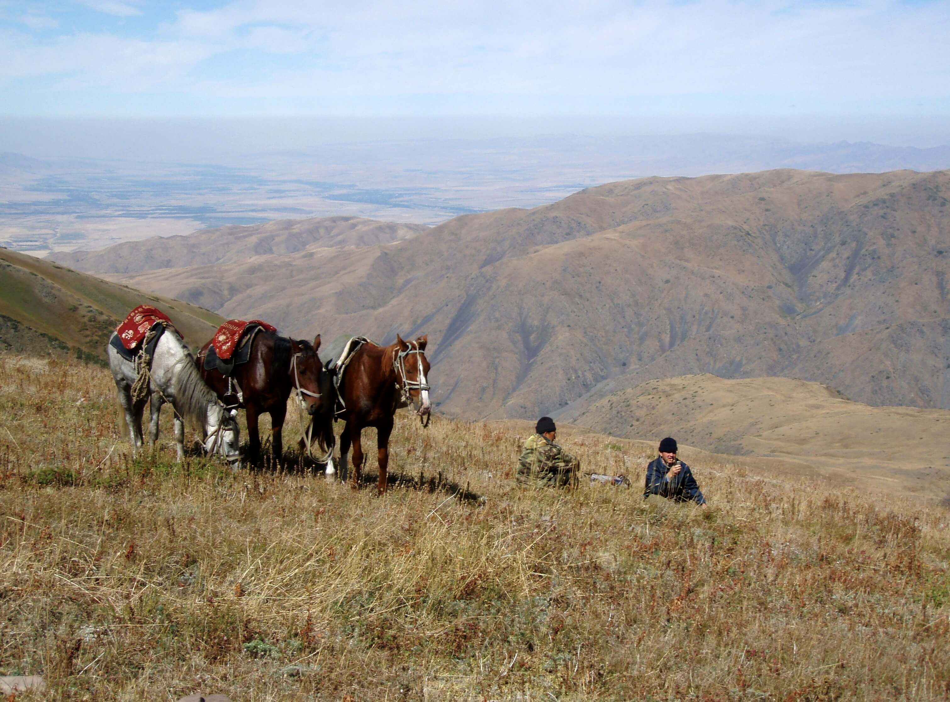 kazachstan paarden vallei.jpg